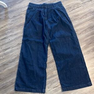 EUC AE Trouser Wide Leg Jeans Elastic Back Pleat Front 6